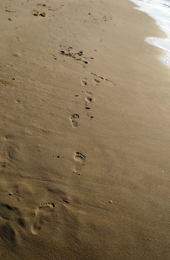 海滩脚印图片