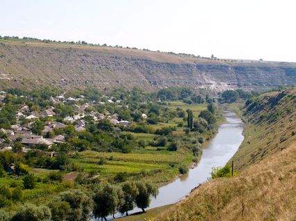 树,风景,玉米,长城,花卉,摩尔多瓦Orhei Vechi