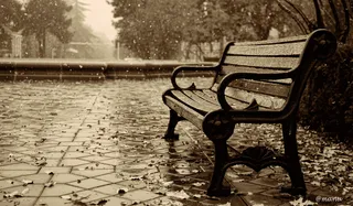 在一个下雪的晚上。