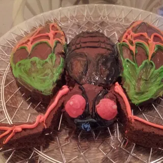 乌龟,草莓寄居蟹,湖蟹,虫子,捕鸟蛛,我姐姐做的生日蛋糕。