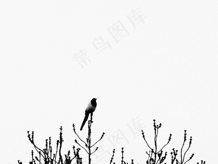 1230春季6