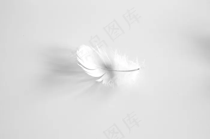 光