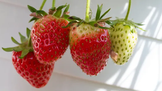 Mjam :)麻省理工学院Joghurt oder Sahne