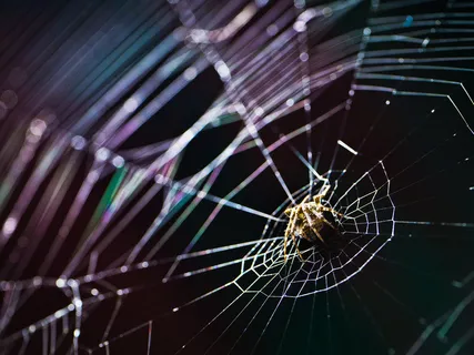 声音作品#436 声音作品#436