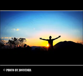 天空,海鸥,扎龙,屏幕截图,海洋,VIVA LA VIDA-万岁