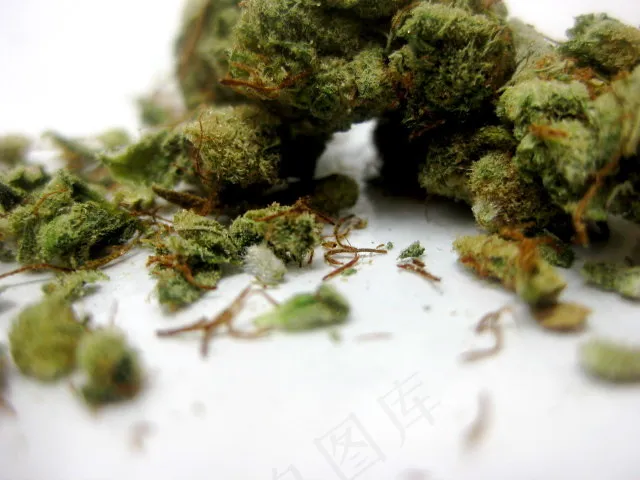 花椒芽,三七花,胶股蓝茶叶,茶叶,青花椒,芽动物