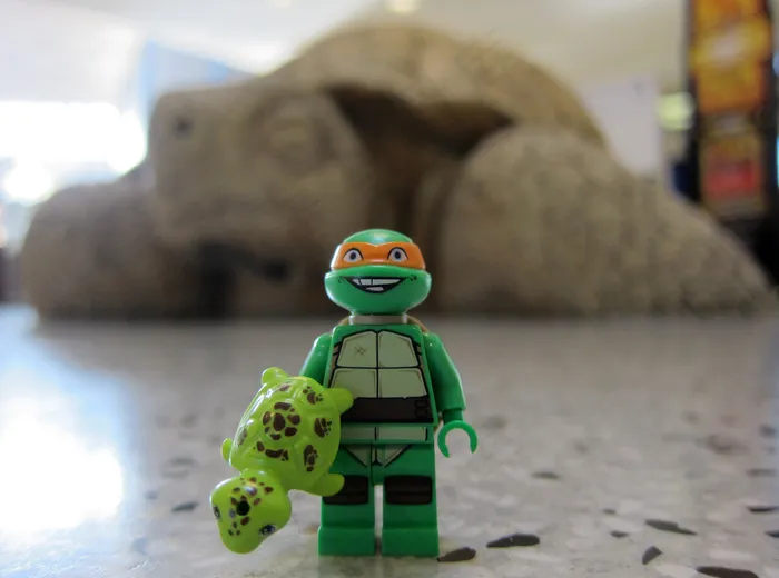 乐高乌龟三重奏