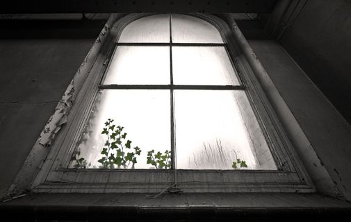 窗,灯具,亚克力灯,吊顶,吸顶灯,为了爱常春藤