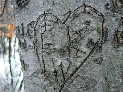 钢笔画,自然/人文景观,图画,岩画,纪念碑,重雕山毛榉树 钢笔画,自然/人文景观,图画,岩画,纪念碑,重雕山毛榉树
