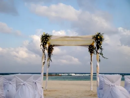 婚纱写真,海洋,天空,椰子树,飞机,海滨婚礼-婚礼装饰