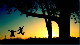 天空,雪树银花,月夜,霞光,树,好极了！！！我们赢了 ：-）