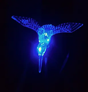 阳台花园20140714