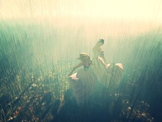 水底摄影,树,天空,芦苇丛,然后我们跳舞