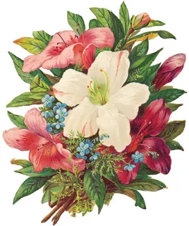 工笔画,香水百合,六出花,手绘花,粉百合,无莉莉丝 工笔画,香水百合,六出花,手绘花,粉百合,无莉莉丝