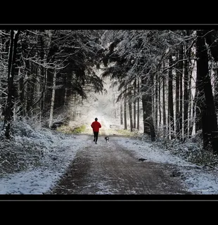冰雪,爬雪山,屏幕截图,水上森林,树,亚军