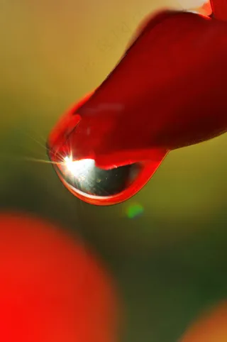 雨珠,台灯,生日蜡烛,手电筒,玩具,最后一滴