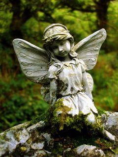 我将永远坚如磐石，我将永远孤独