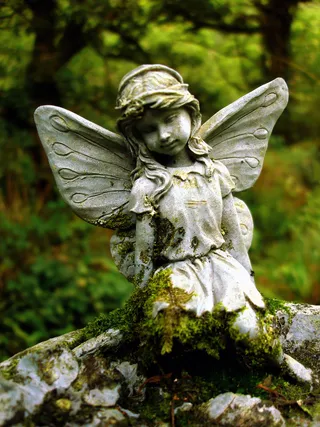 我将永远坚如磐石，我将永远孤独