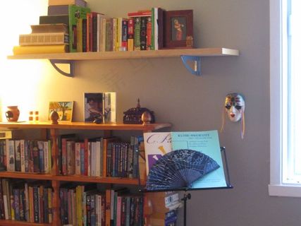 书架,展示架,图书室,书房,书柜门,研究