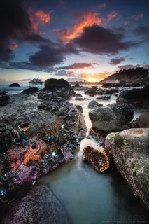圣诞海星之爱和马里布码头(Malibu Pier)第十届失败之年 圣诞海星之爱和马里布码头(Malibu Pier)第十届失败之年