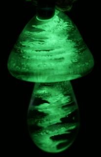 魔法蘑菇-在黑暗中发光-