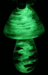 魔法蘑菇-在黑暗中发光-