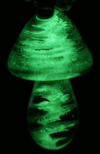 魔法蘑菇-在黑暗中发光-