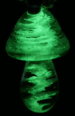 魔法蘑菇-在黑暗中发光-