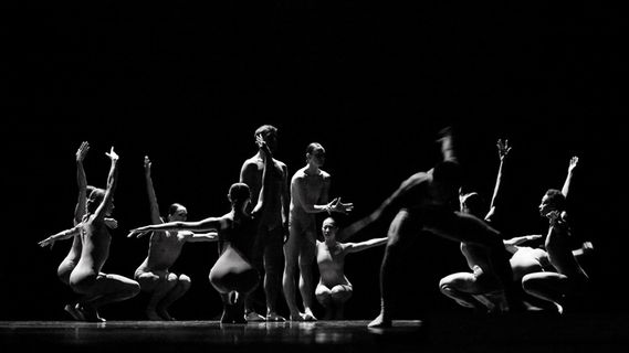 文字图片,现代舞,图画,黑色桌面,编舞者,参与品牌塑造25和现在一起-Nederlands Dans Theatre-Chamber