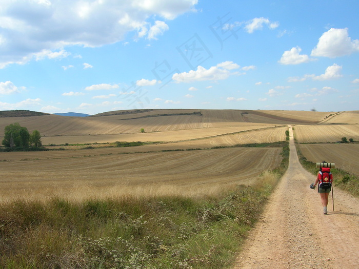 卡米诺·圣地亚哥（Camino de Santiago）
