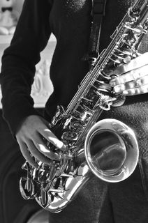 萨克斯,萨克斯风,中音萨克斯手,萨克斯演奏,单簧管,＃7/100 Saxophalone