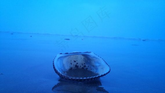 这也是一个外壳。