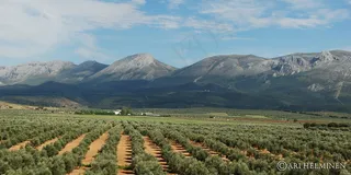 草原,龙脊梯田,山峦,茶地,稻田,西班牙南部的山脉