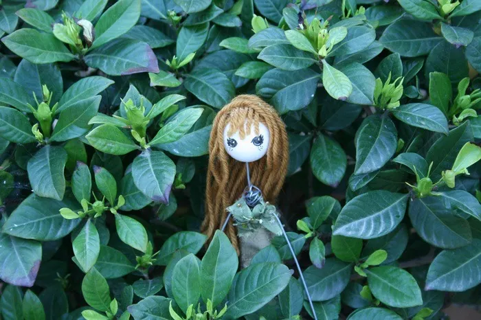 木仙子