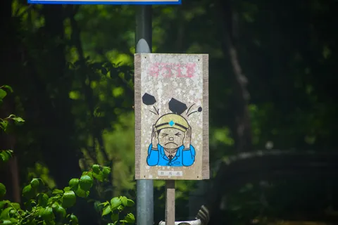 落石注意 落石注意