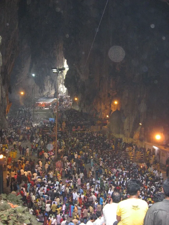 人物活动,都市夜景,街灯,街道,树,大宝森