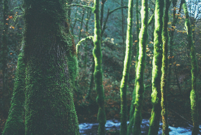 这不是真实的。