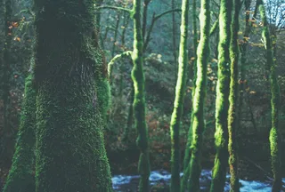 这不是真实的。