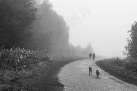 雨雾,浓雾,公路,冰雪,城市街道,来调查