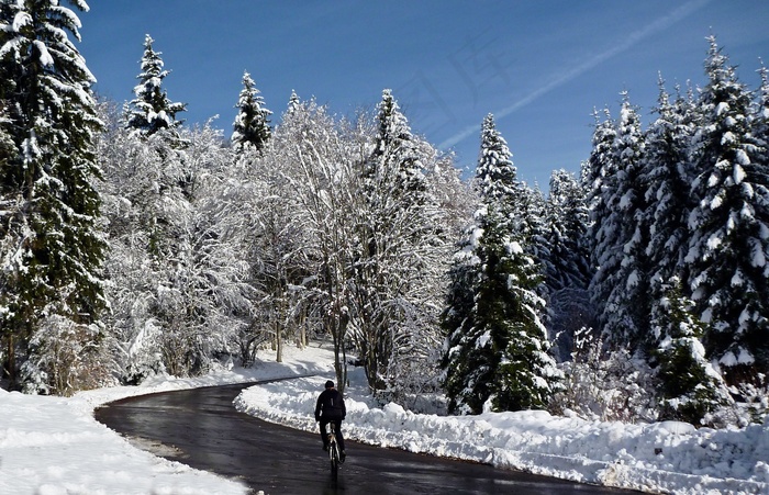 冰雪,落叶松,雪松,山峦,滑雪场,骑自行车勒萨莱夫