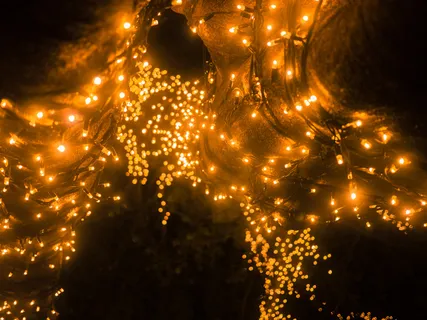 童话般的灯光树3