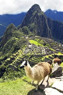 马丘比丘明信片 马丘比丘明信片