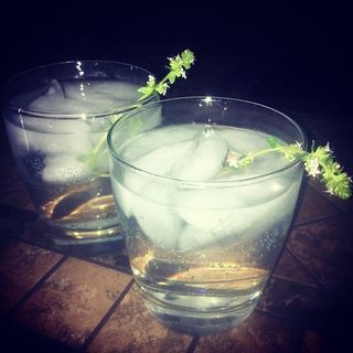 杜松子酒，补品和百里香