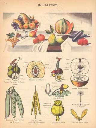 屏幕截图,卡通动漫人物,足球运动,工笔画,艺术画,科学应用程序p65