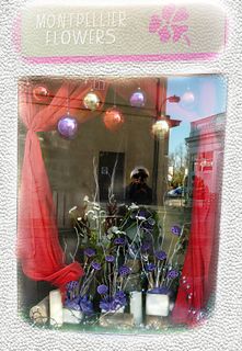 植物,集成显卡,玩具,包装袋/盒,针线包,蒙彼利埃花店的几点思考 植物,集成显卡,玩具,包装袋/盒,针线包,蒙彼利埃花店的几点思考