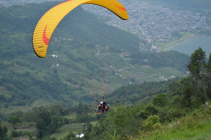 滑翔,滑翔基地,滑翔伞,鱼类,卡通动漫人物,尼泊尔博卡拉滑翔伞