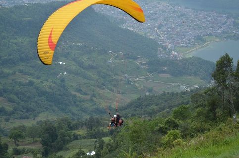 滑翔,滑翔基地,滑翔伞,鱼类,卡通动漫人物,尼泊尔博卡拉滑翔伞