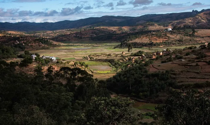 树,风景,峡谷,图画,天空,马达加斯加饭碗