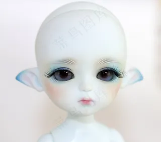 供参考-Lati Yellow Snow Queen Blue Miel