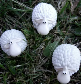 约克郡村庄的流浪者